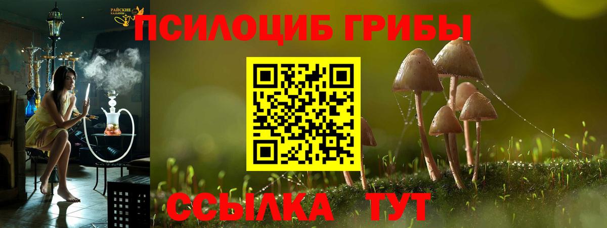 Галлюциногенные грибы GOLDEN TEACHER Торжок