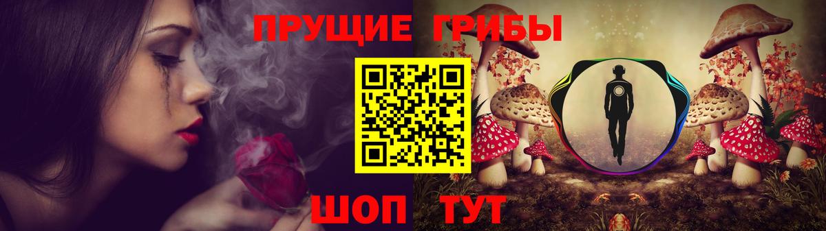 Псилоцибиновые грибы Psilocybe  наркошоп  Торжок  Вход с VPN 